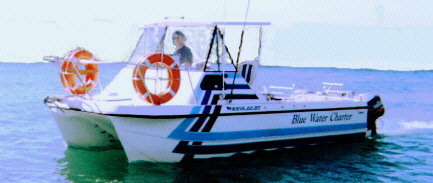 Blue Water Charter