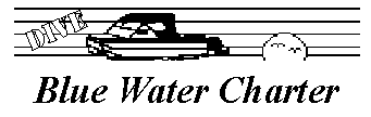 Blue Water Charter logo